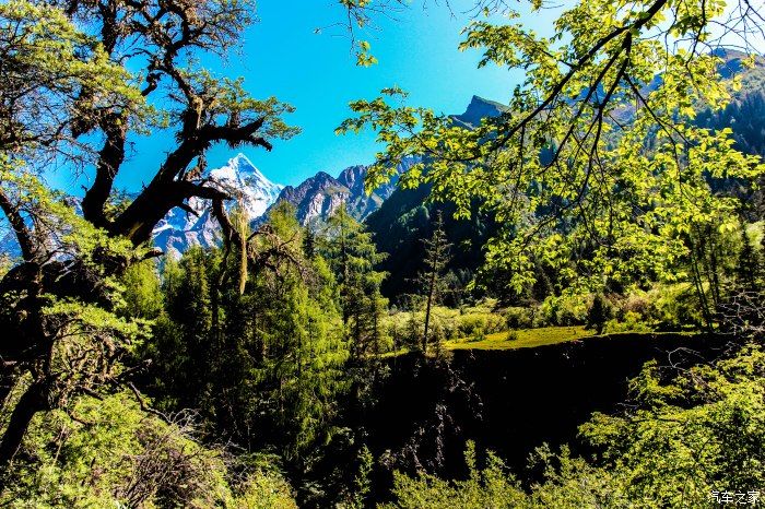 枯树滩|东方圣山，户外天堂——四姑娘山自驾徒步之旅