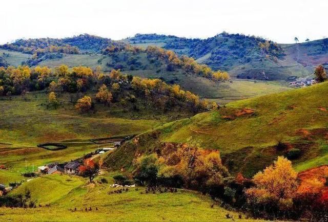 青衫@杨鑫诗词23首一抹斜阳对酒卮,忍将客路负佳时