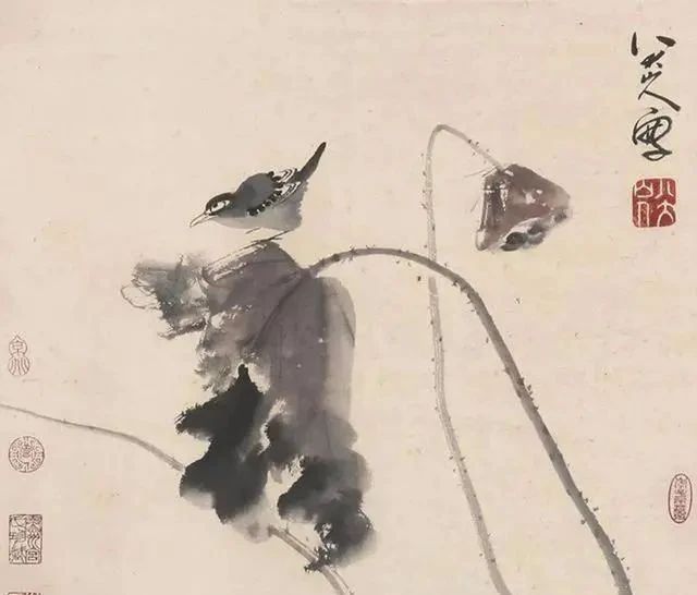 荷花鸳鸯图|同是画两只鸳鸯,与齐白石相比,八大山人的作品也是不输的