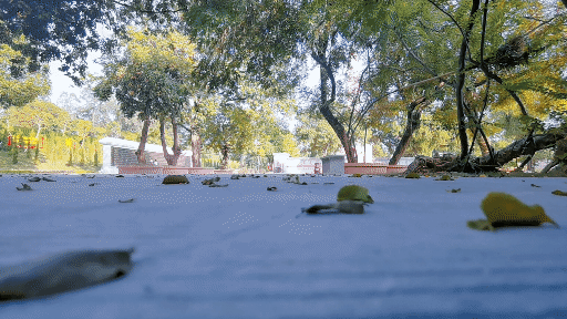 鞋底 大胆尝试,咕咚逐日21K厚底跑鞋,加倍弹力爆发确实香