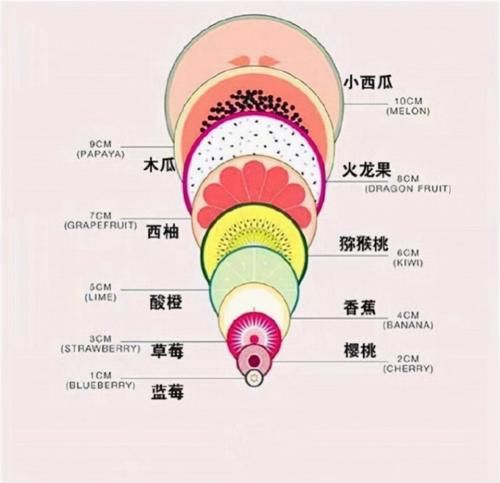 顺产开十指有多大？一张“水果对比图”很直观，看了才知女人多难