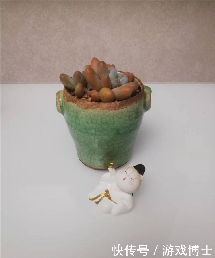 一肉一世界,一方一净土