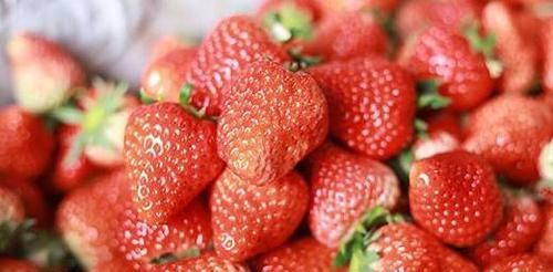 对身体很好的食物，平时常吃一些，补血益气，排毒润肤，增强体质