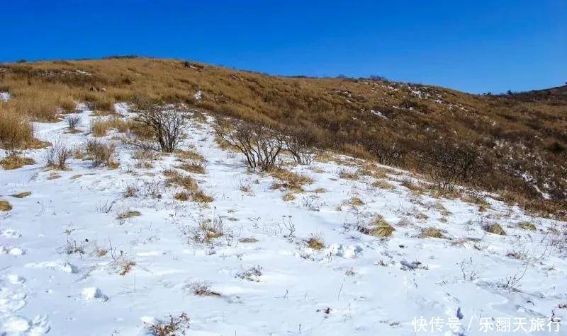 华阳|【登秦岭之巅】雪色浪漫之华阳草甸~