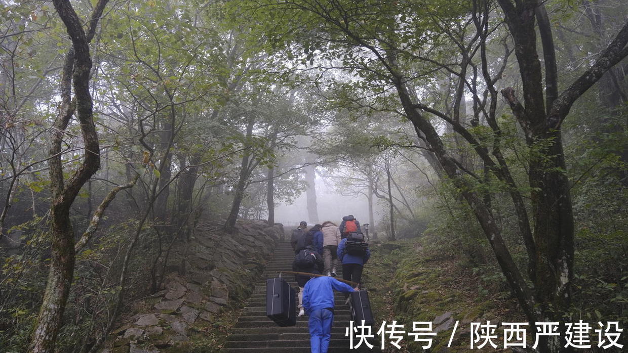 黄山|薄云浓雾游黄山宛若仙境【严建设】