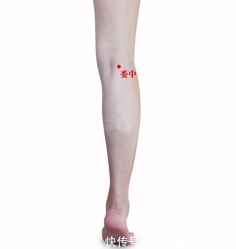 左手臂|人体自带4个长寿窝,每天只要5分钟,拍一拍,心肝脾肺肾都好了!