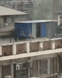 |搞笑GIF段子:如果你拿不出来的话,只能说明你对金子的渴望还不够大