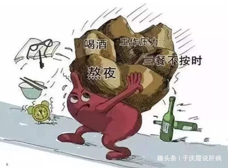 帮凶|一个肝的自述我从肝炎到肝癌,吸烟、喝酒并不是真的“帮凶”