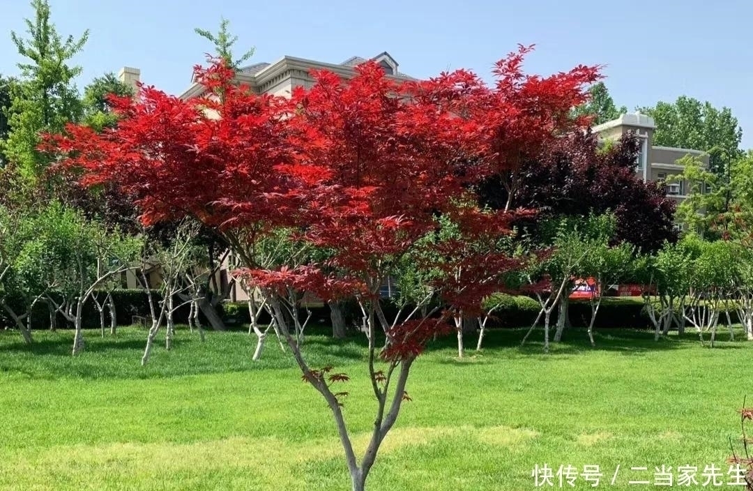 孩子|58岁大姐羡慕有“学渣”儿子的邻居,生儿育女不是为了守着自己