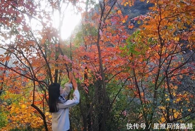 秦岭深处有一座小县城，秋色不输川西，可媲美喀纳斯，你听说过吗