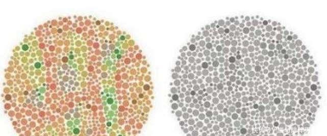 对飞行员视力要求有多高?这5张图,都看明白你也是有潜力的