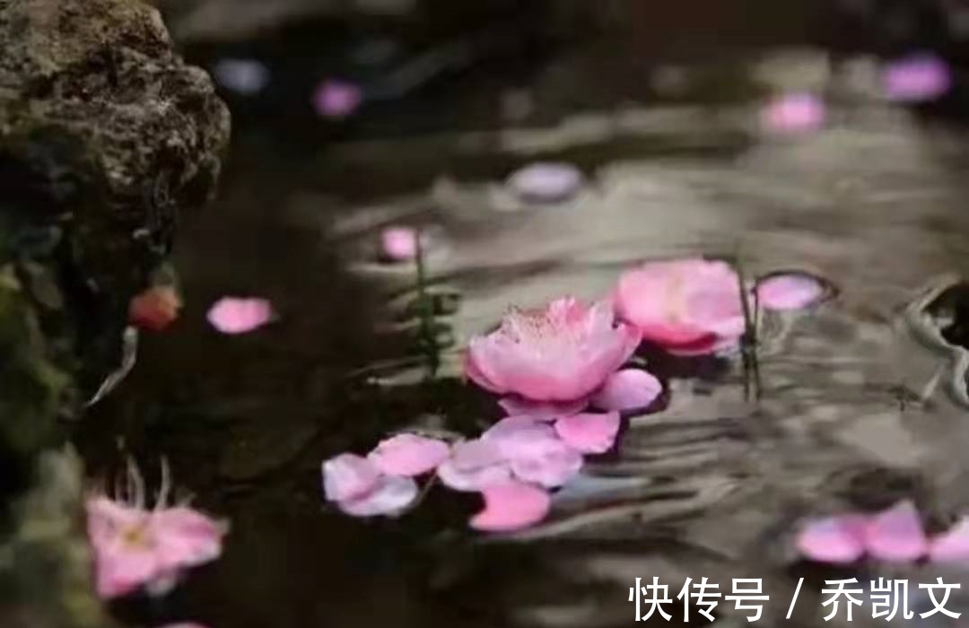 江雪#为什么人人喜欢柳宗元的诗?这首诗就是见证,真不是一般的独特