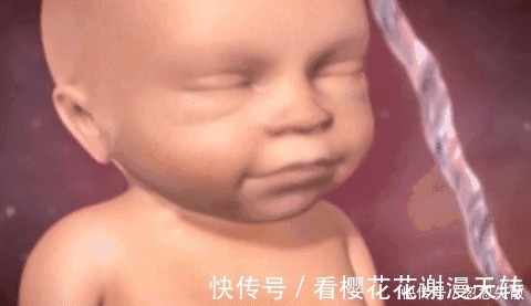 妈妈|胎宝在妈妈肚子里无聊不?是时候告诉孕妈真相了,怪可爱的