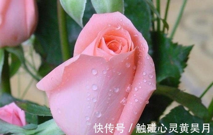 家境|下半年,户头有钱的四大生肖,家境优渥,有钱有爱