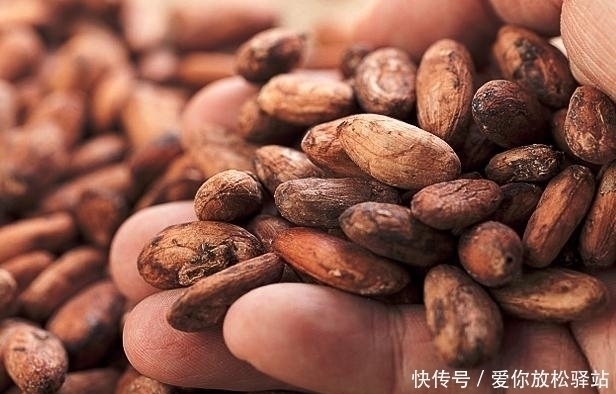 巧克力|买巧克力时,配料表上只要出现“这行字”,这巧克力白送我都不要