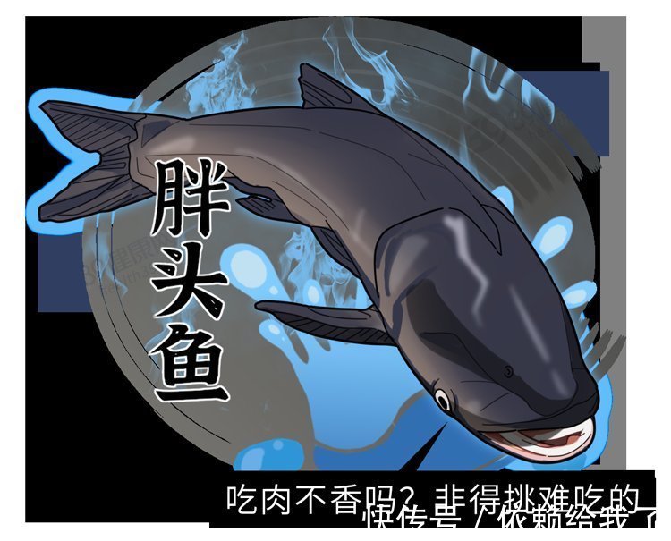 神经元|吃鱼时,哪些部位最营养,哪些部位毒性强?弄懂后,才知道怎么吃