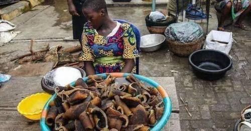 价格|非洲海鲜价格超低,为何非洲人宁愿吃土也不吃海鲜看完长见识了
