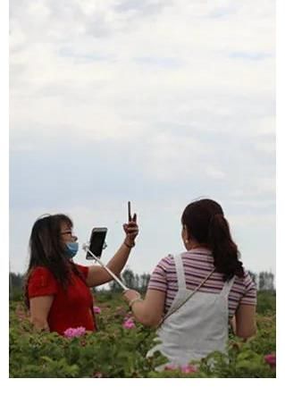 中国好声音|《中国好声音》伊犁站巅峰之夜在六十九团植物观光园举行