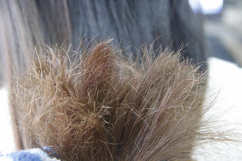 长期染发会致癌吗？哈佛研究人员公布出了结果，刷新很多人认知