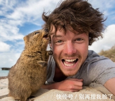 打招呼|9条奇葩冷知识,有趣又好玩,每日增长有趣的知识