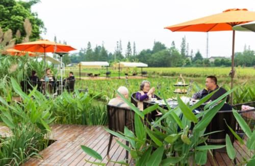 味道|食味安仁|舌尖上的二十四节气,小隐臻品时光味道