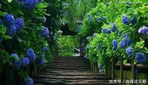 7个绝美花园,个个美炸了天,等有钱了我也要建一个