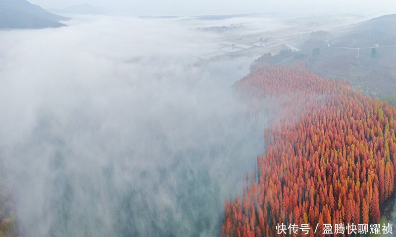 梦境|走进初冬的太子山，如同走进一场美丽的梦境