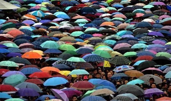 张伟|中国使用最多的名字,30万人重名,你见过多少人叫这个名