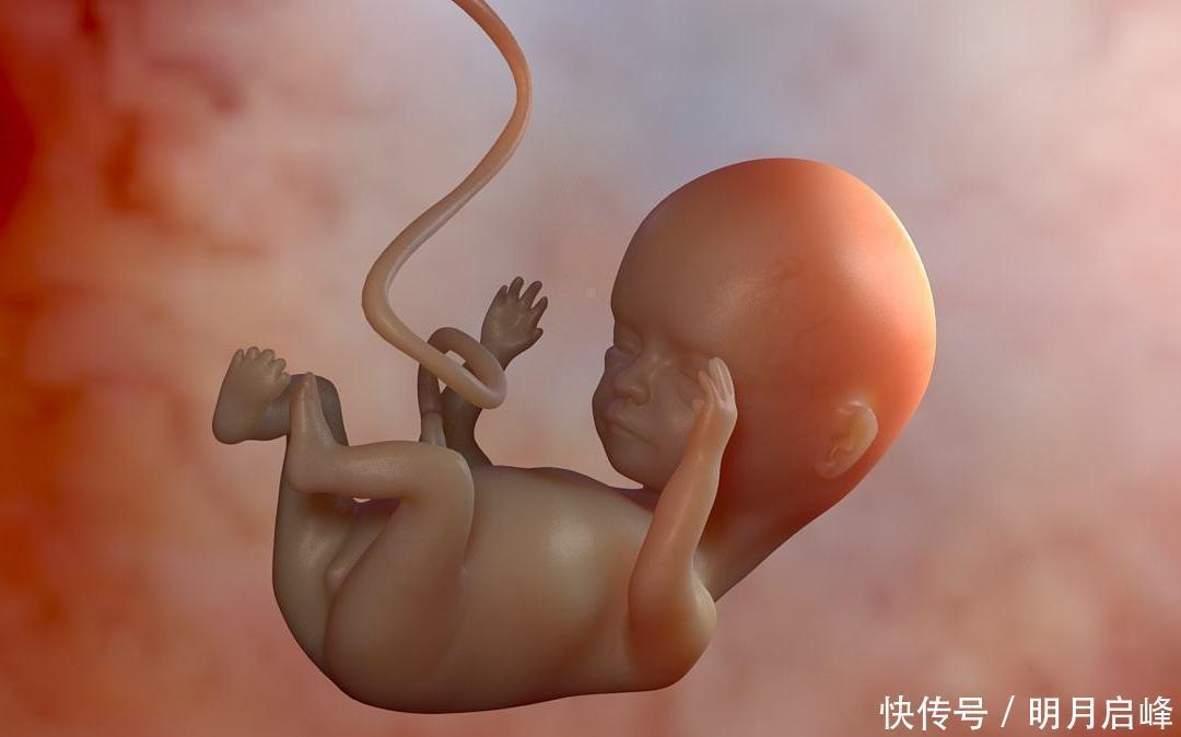 性别|怀“小王子”的宝妈,身上有这4大特征,赶快接好孕吧