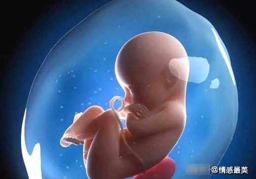 胎儿|怀孕几个月显怀算正常？太早太晚都不好，这个月份最合适！