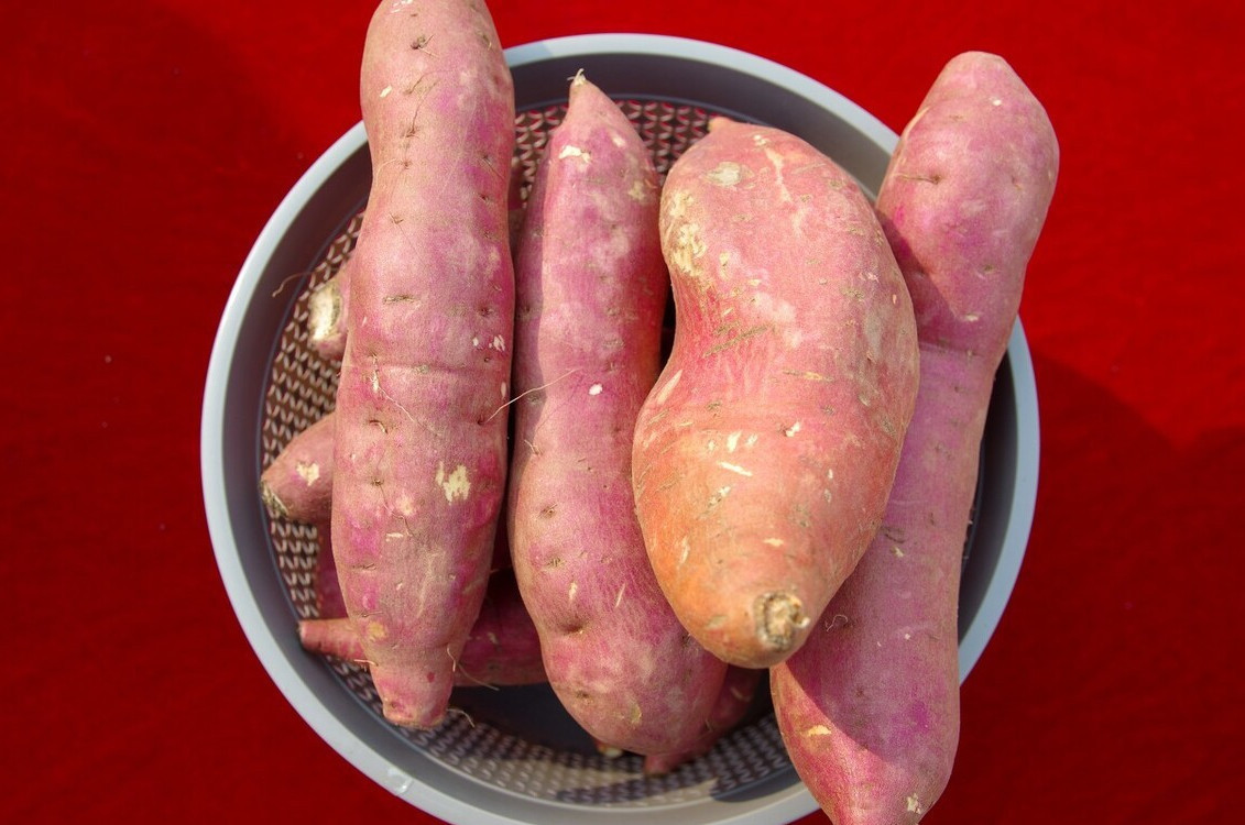 家庭|家庭保存红薯的实用方法,一个纸箱就搞定,放一年不坏,越放越甜