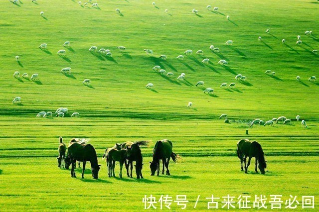 夜明珠|男子承包矿山挖出重6吨夜明珠,估值26亿卖不掉,放在公园成路灯