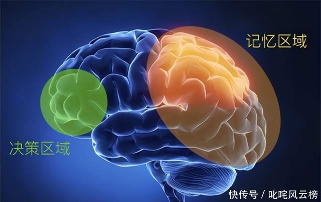 孩子|宝宝有这5个特征,说明将来很有“福气”,对照看你家娃占几个?