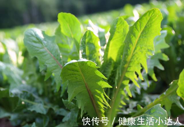 血糖|身体3个地方瘙痒,是在提示你:血糖“超标”了,抓紧调理