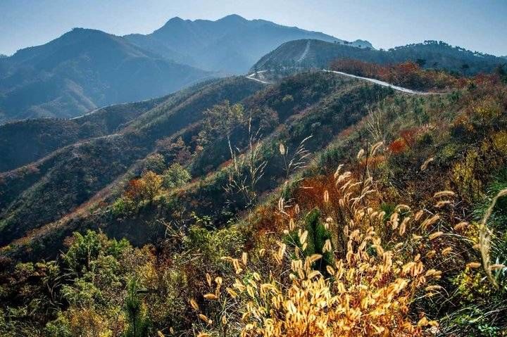 老伴儿|山上的生活｜守山者说（散文）