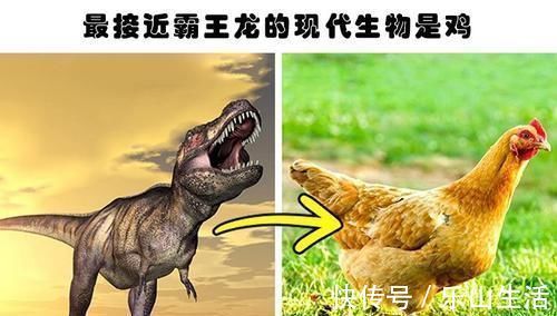 李小龙|大多数人没有听说过的10个有趣的冷知识