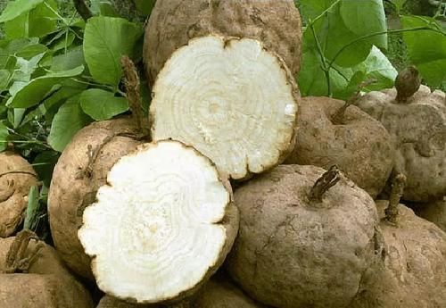 栗子|更年期的女性别太节俭，经常吃4种碱性食物，或能帮你补充雌激素