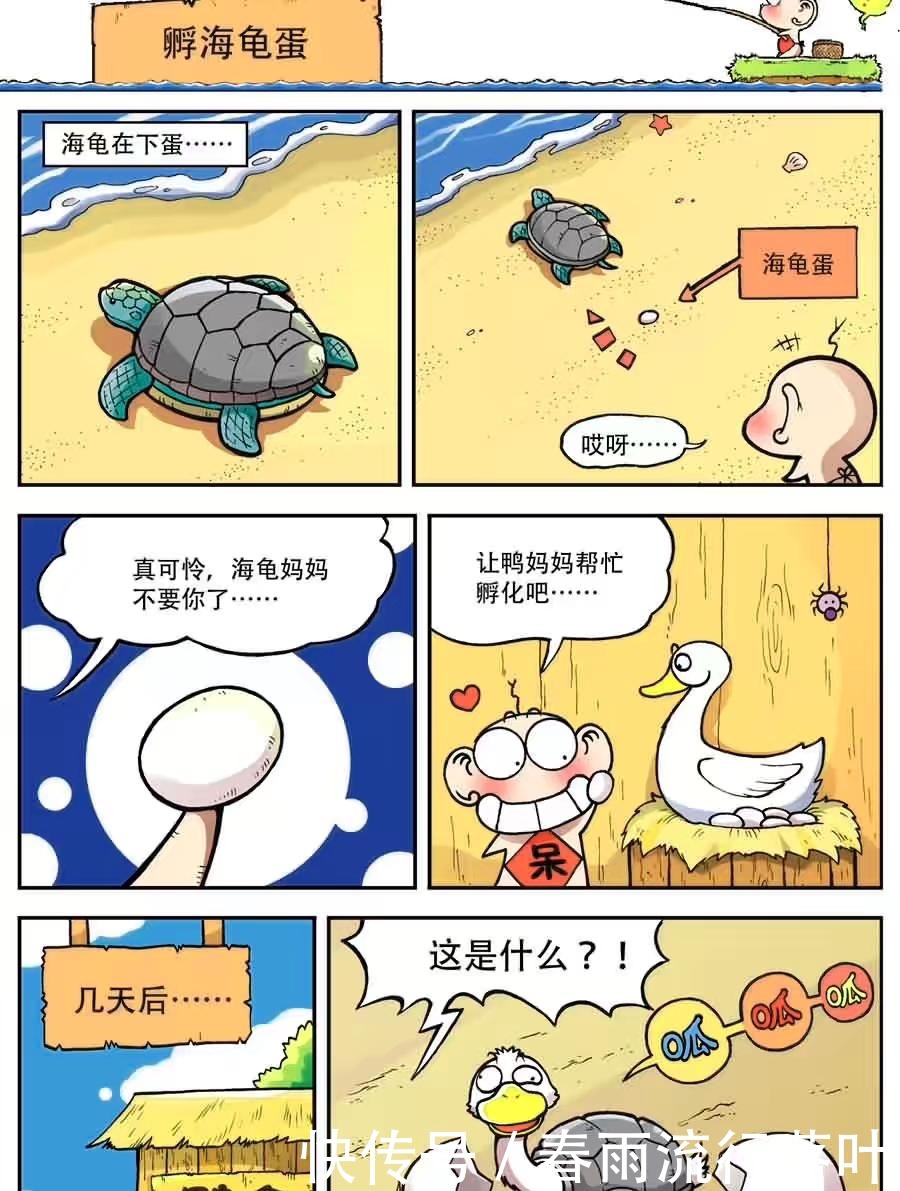 搞笑漫画龟兔赛跑新篇，兔子还是输了