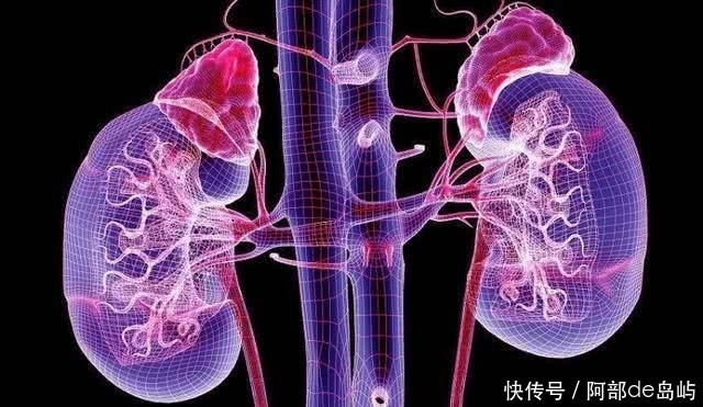 肾脏|肾好的人,晚上睡觉有4种表现,若你一样,恭喜你肾脏健康易长寿