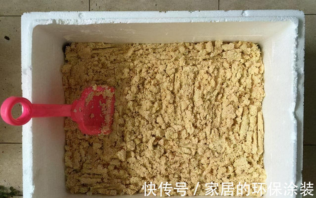 花肥不用买,在家自己做,“垃圾”桶里泡一泡,浇花大爆棚