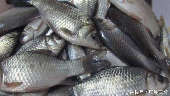 大肚腩|入夏湿气重,多吃这3种食物,告别湿气,消除大肚腩!