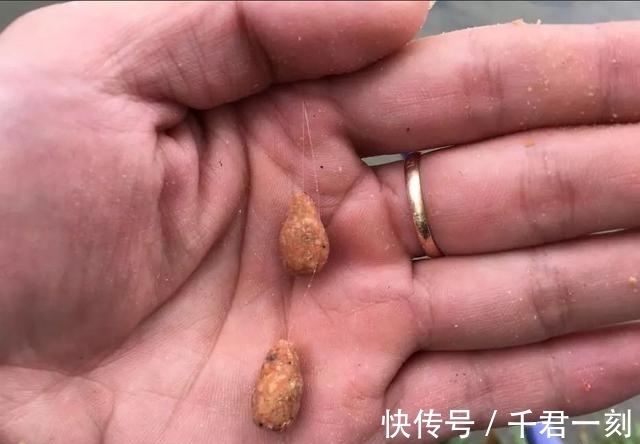 商品饵|野钓很牛的一款饵料，自己在家就能做，学会以后好钓大鱼