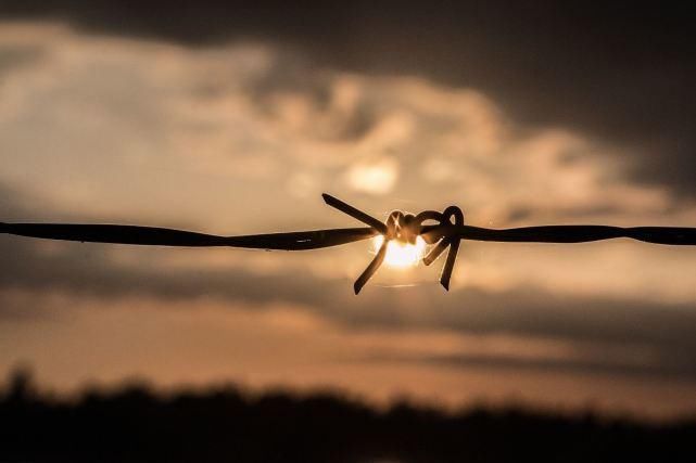 前因后果|孩子被家长吼后,为啥很快就不“记仇”了?原因有三点,很扎心