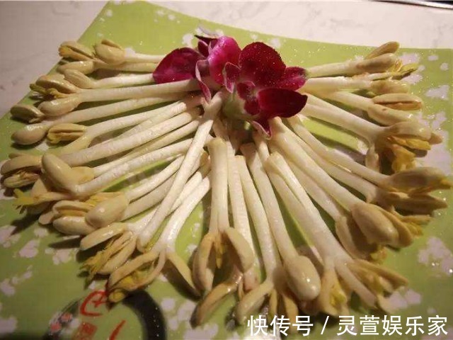 抗癌物|吃了一辈子的花生,原来花生最营养的吃法在此,现在知道还不晚