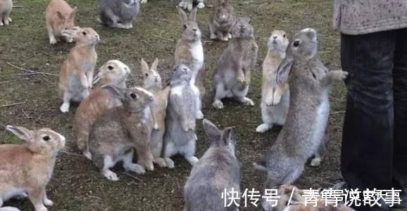 富得流油|10个超级有趣的冷知识, 最后一条真的是太扎心了!