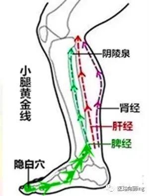 冬季皮肤干燥瘙痒怎么办？1灸2按即可搞定