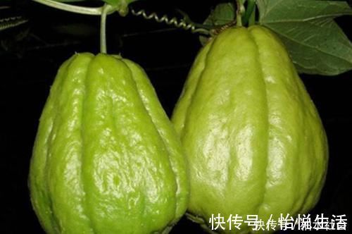 通便|人到中年想长寿，推荐多吃3种蔬菜，润肠通便，清理体内毒素