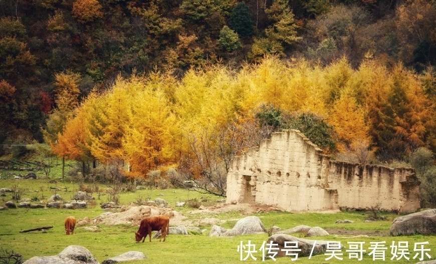 牧场|西安周边自驾攻略秦岭最美赏秋路线