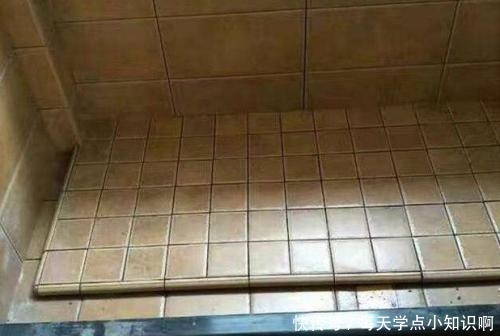 瓷砖|卫生间地面不要再贴瓷砖了，头次见有人铺这种代替，实在聪明极了！
