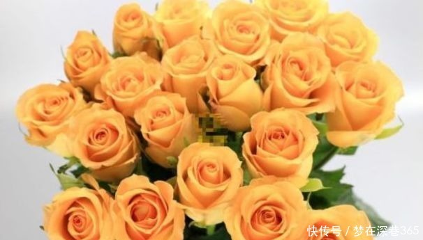 喜欢菊花，不如养盆“高端玫瑰”假日公主，花姿贵气，金光灿灿